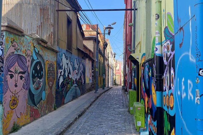 Viña del Mar and Valparaíso - Is $64 a fair price?
