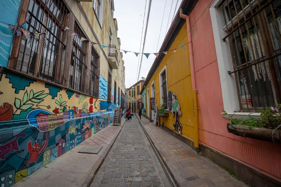 Viña del Mar and Valparaiso: guided day tour - Key points to know before booking