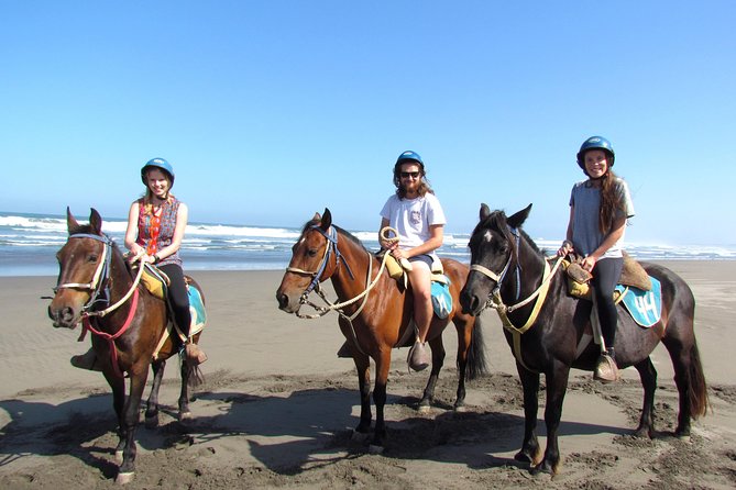 Viña del Mar and Valparaiso Private Tour Including Horseriding - Key points to know before booking