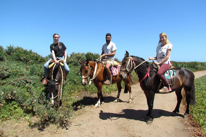 Viña del Mar and Valparaiso Private Tour Including Horseriding - The final view from Paseo 21 de Mayo