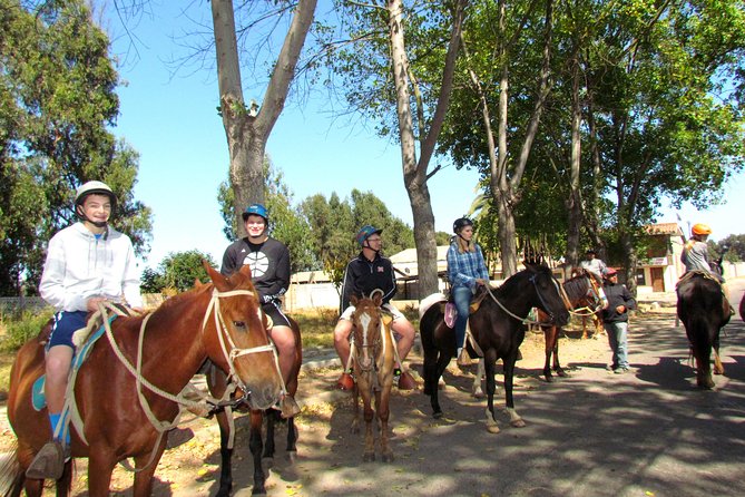 Viña del Mar and Valparaiso Private Tour Including Horseriding - Is $255 per person good value?