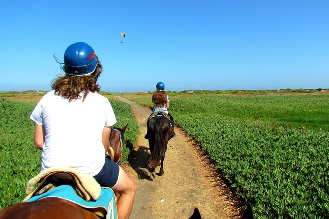 Viña del Mar and Valparaiso Private Tour Including Horseriding - Viña del Mar in short, polished stops