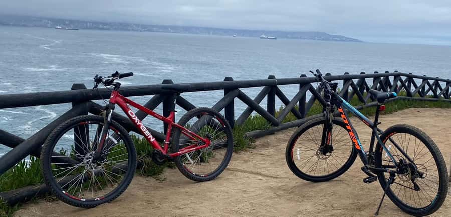 Viña del Mar: Coastal Bike Tour - The coastal route and the Concón possibility