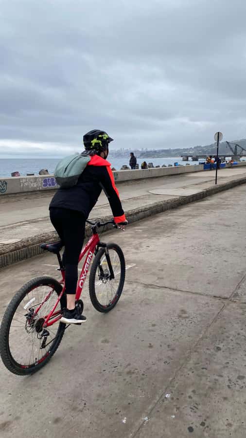 Viña del Mar: Coastal Bike Tour - Who will enjoy this ride most