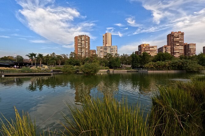 Visit to Baháʼí Temple with Panoramic Views of Santiago - Timing, weather, and cancellation advice
