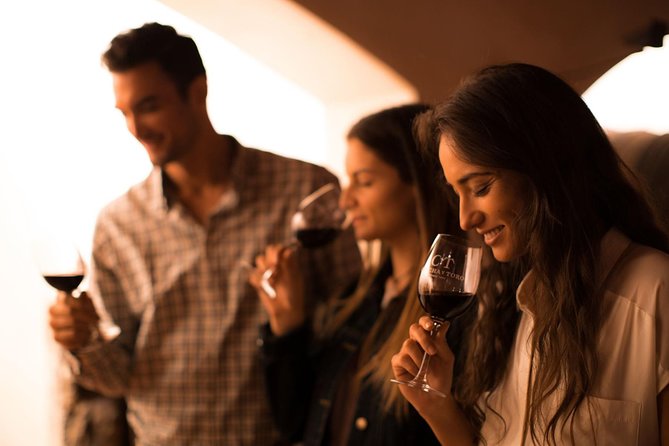 Visita Guiada Premium Centro del Vino Concha y Toro - Key Things to Know Before You Book