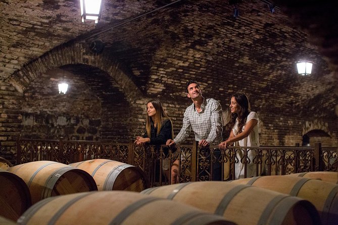 Visita Guiada Premium Centro del Vino Concha y Toro - The Grape Variety Garden and 26 Types of Wine Grapes