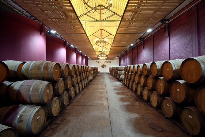 Viu Manent and Montes Winery, Colchagua Valley from semi-private - Key points to know before booking