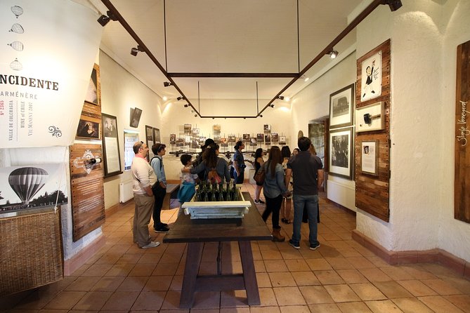 Viu Manent and Montes Winery, Colchagua Valley from semi-private - Why Colchagua Valley makes a good Santiago day trip