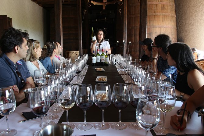 Viu Manent and Montes Winery, Colchagua Valley from semi-private - Lunch needs a quick confirmation