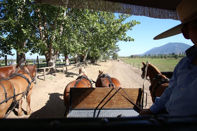 Viu Manent and Montes Winery, Colchagua Valley from semi-private - Is $280 a fair price?