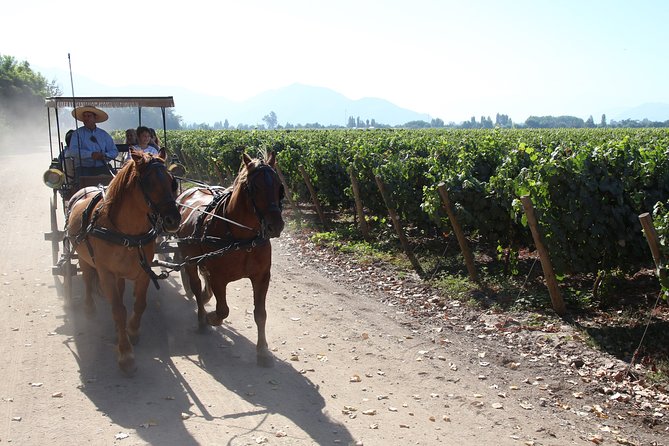 Viu Manent and Montes Winery, Colchagua Valley from semi-private - When to go for greener vines