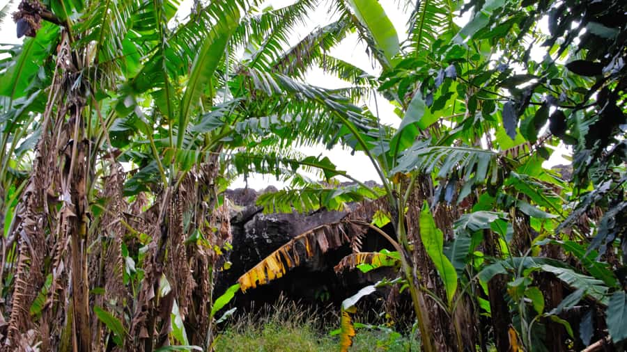 Volcanic Refuges: Excursion to Underground Civilization - FAQ