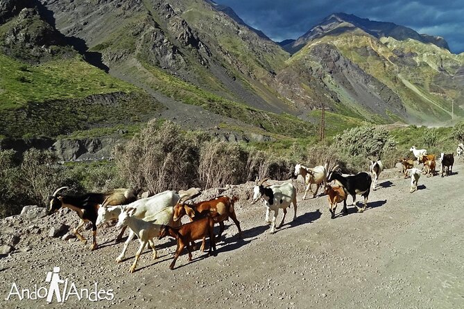 Volcano & Hotsprings 4K from Santiago Private Tour - Is $270 per person fair value?
