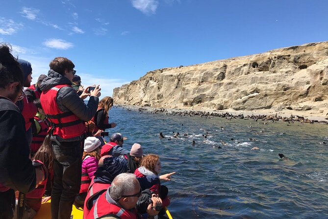 Walk alongside Penguins on Magdalene Island and navigate Marta Island - What makes the penguin walk worth the early alarm