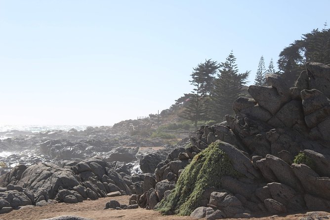 wetravelneruda’s route - Pablo Neruda’s route - Private tour - From Santiago to Isla Negra on the coast
