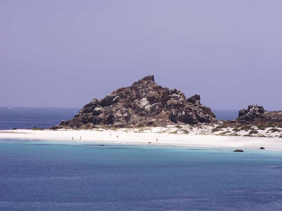 Whales & Humboldt Penguins: Chañaral or Damas island hiking - Five reasons this day trip is worth considering