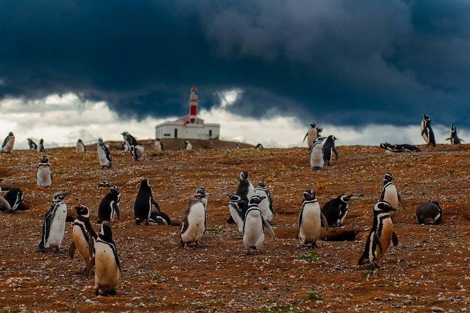 Whales, Penguins & Glaciers Navigation From Punta Arenas - The 4 a.m. start and the trip south