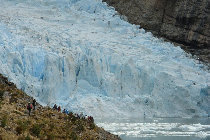 Whales, Penguins & Glaciers Navigation From Punta Arenas - Francisco Coloane Marine Park wildlife