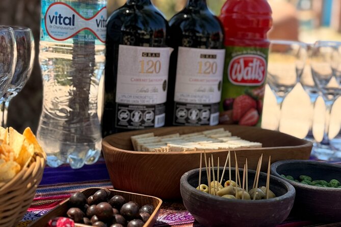 Wine Tasting + Cheeseboard + Gypsum Reservoir - Los Chacayes and the Yeso River viewpoint