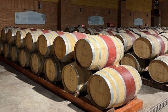 Wine Tasting Day Tour to Vineyard Casas del Bosque in Casablanca - Key points at a glance