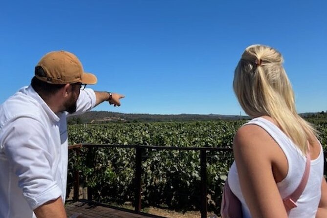 Wine Tasting Day Tour to Vineyard Casas del Bosque in Casablanca - Four Chilean wines, from crisp white to fuller red