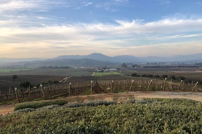 Wine Tasting Day Tour to Vineyard Casas del Bosque in Casablanca - What private transportation adds to the $450 price