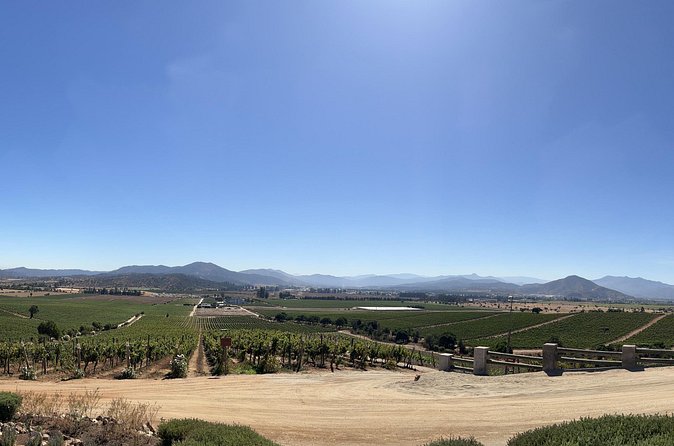 Wine Tasting Tour to Casablanca Valley (Wine Region) - Is the Casas del Bosque wine day right for you?