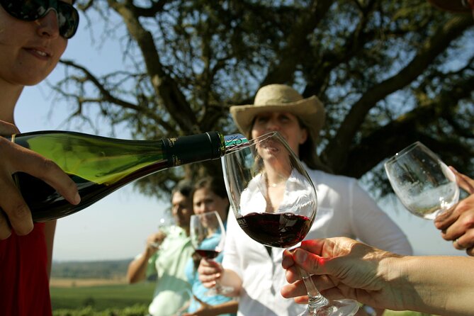 Wine Tour and Santiago City in a Small Group - Starting at Palacio de La Moneda