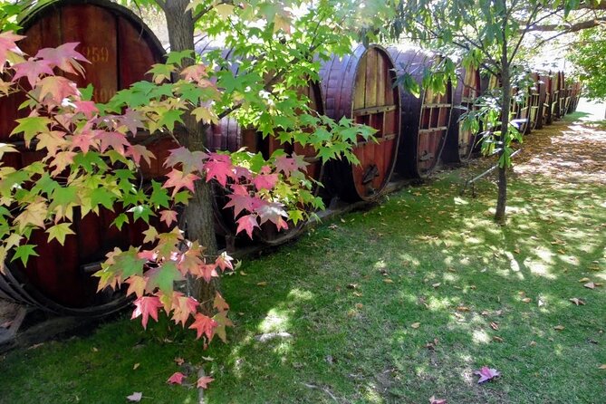 Wine Tour and Santiago City in a Small Group - Climbing Cerro Santa Lucia