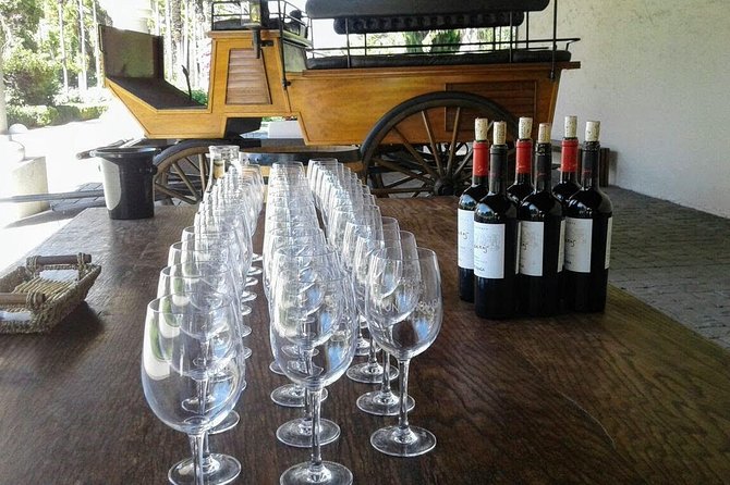 Wine Tour and Santiago City in a Small Group - Choosing the winery: Undurraga, Concha y Toro, or Santa Rita