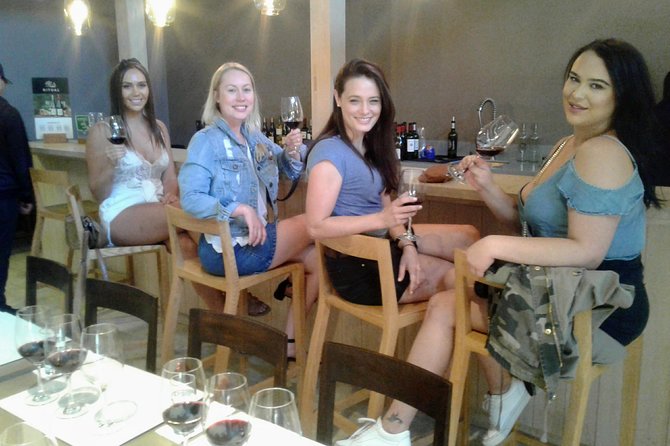 Wine Tour and Santiago City in a Small Group - Walking from the government district to Plaza de Armas