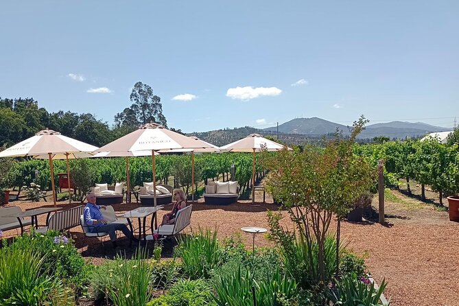 Wine Tour Casas del Bosque+Bodegas RE Vineyards Casablanca Valley - Key Points Before You Book