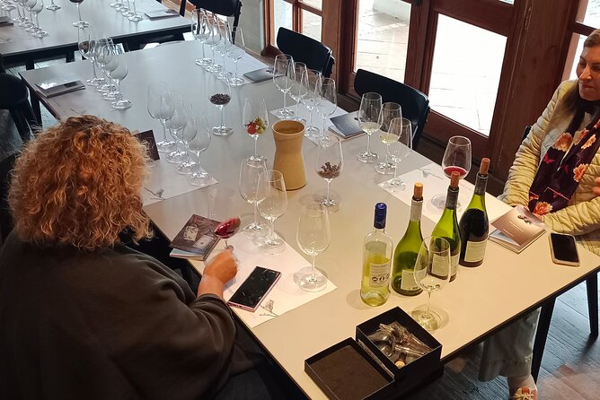 Wine Tour Casas del Bosque+Bodegas RE Vineyards Casablanca Valley - Why Casablanca Valley Makes a Good Day Trip from Santiago