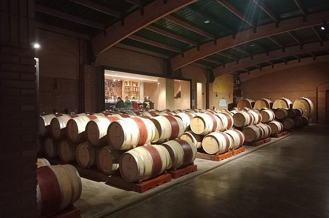 Wine Tour Casas del Bosque+Bodegas RE Vineyards Casablanca Valley - Six Wines, Small Pairings, and the Pace of the Day