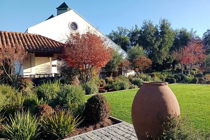 Wine Tour Casas del Bosque+Bodegas RE Vineyards Casablanca Valley - First Stop: Bodegas RE and Three Tastings