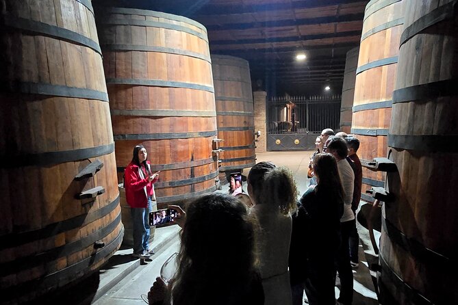 Winery Tour & Tasting + Lapis Lazuli Craft Visit + Hotel Pickup - Why Cousiño Macul works so well in Santiago