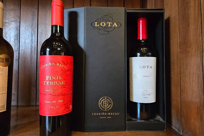 Winery Tour & Tasting + Lapis Lazuli Craft Visit + Hotel Pickup - Four wines, a pisco sour, and one useful souvenir