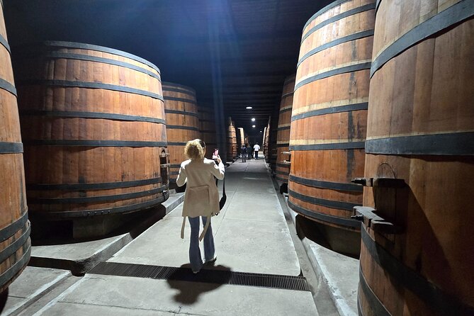 Winery Tour & Tasting + Lapis Lazuli Craft Visit + Hotel Pickup - Who should book this experience?