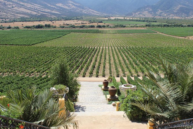 Winery & Valparaiso Private Tour - day trip from Santiago - Starting in Santiago at 9:30 in the morning