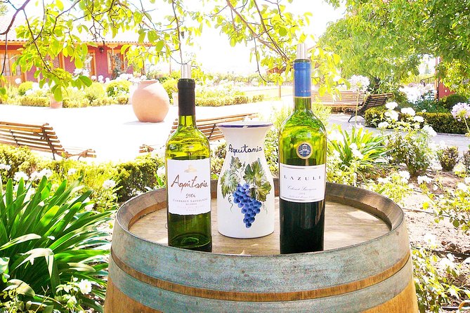 Winery & Valparaiso Private Tour - day trip from Santiago - Paseo del Puerto and the working heart of Valparaiso