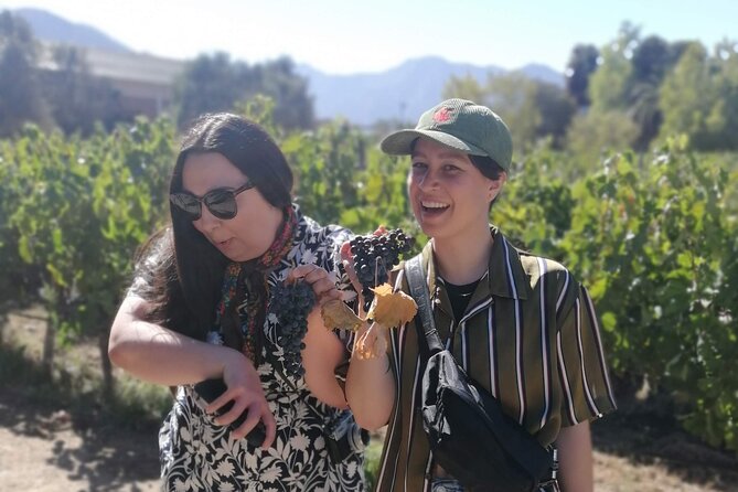 Wines-and-Valparaiso-Tour - Key points to know before booking