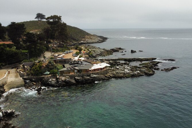 Zapallar and Papudo Tour with Penguins and Horseback Riding - Key points at a glance