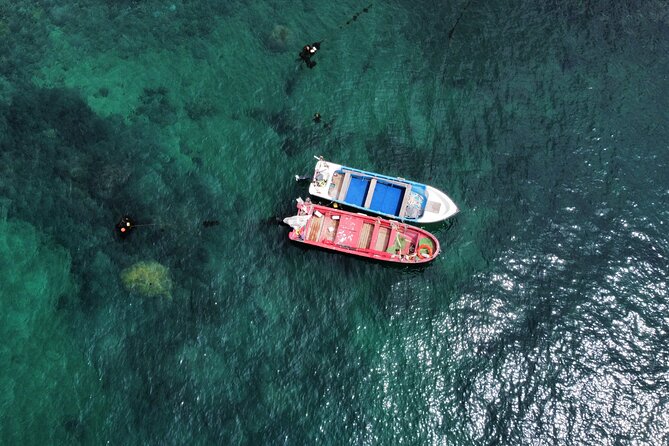 Zapallar and Papudo Tour with Penguins and Horseback Riding - Papudo: a fishing village with time to slow down