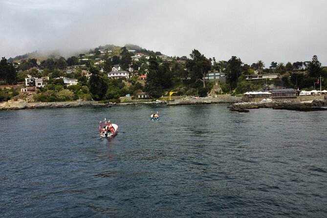 Zapallar and Papudo Tour with Penguins and Horseback Riding - Horseback riding with ocean views