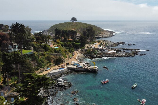 Zapallar and Papudo Tour with Penguins and Horseback Riding - Guides, timing, and the feel of the day