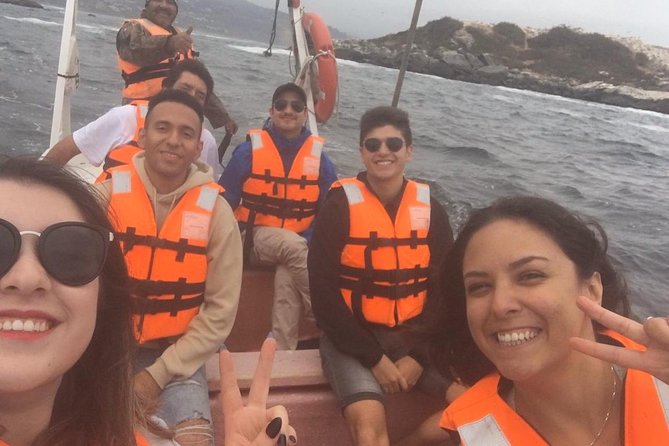 Zapallar : nature, sea and local flavours - Arriving in Zapallar after the Santiago drive