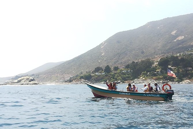 Zapallar : nature, sea and local flavours - What you learn on the water