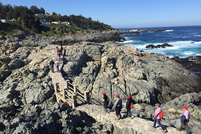 Zapallar Walking & Bird Watching Penguins From Valpo.Private Tour - A private route along Chile’s central coast