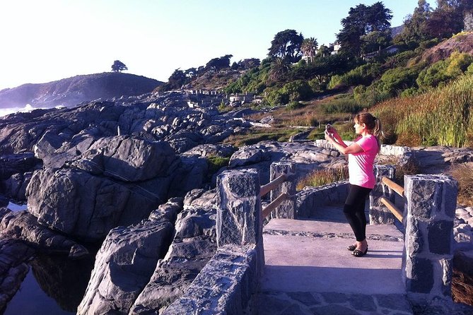 Zapallar Walking & Bird Watching Penguins From Valpo.Private Tour - Maitencillo Beach and a change of pace
